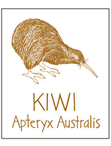 Kiwi lens & screen cloth