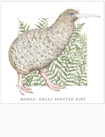 Birds of the Doubtful Valley - Roroa