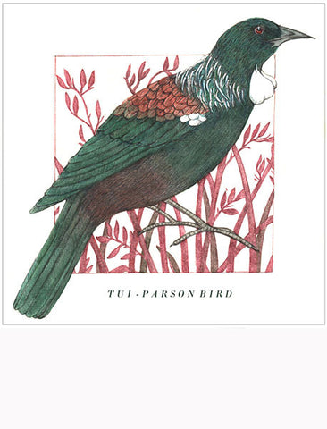 Birds of the Doubtful Valley - Tūī