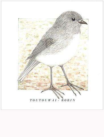 Birds of the Doubtful Valley - Robin