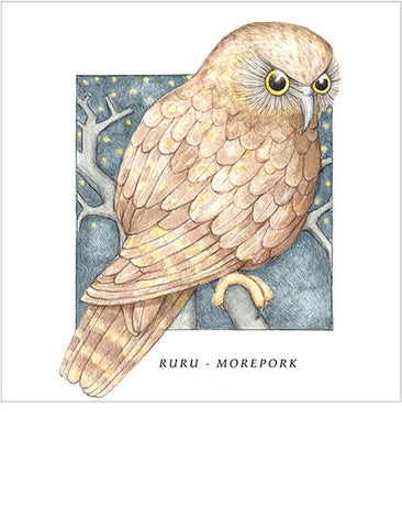 Birds of the Doubtful Valley - Morepork or Ruru